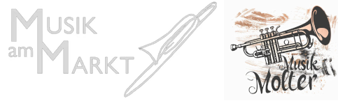Instrumentenwerkstatt online